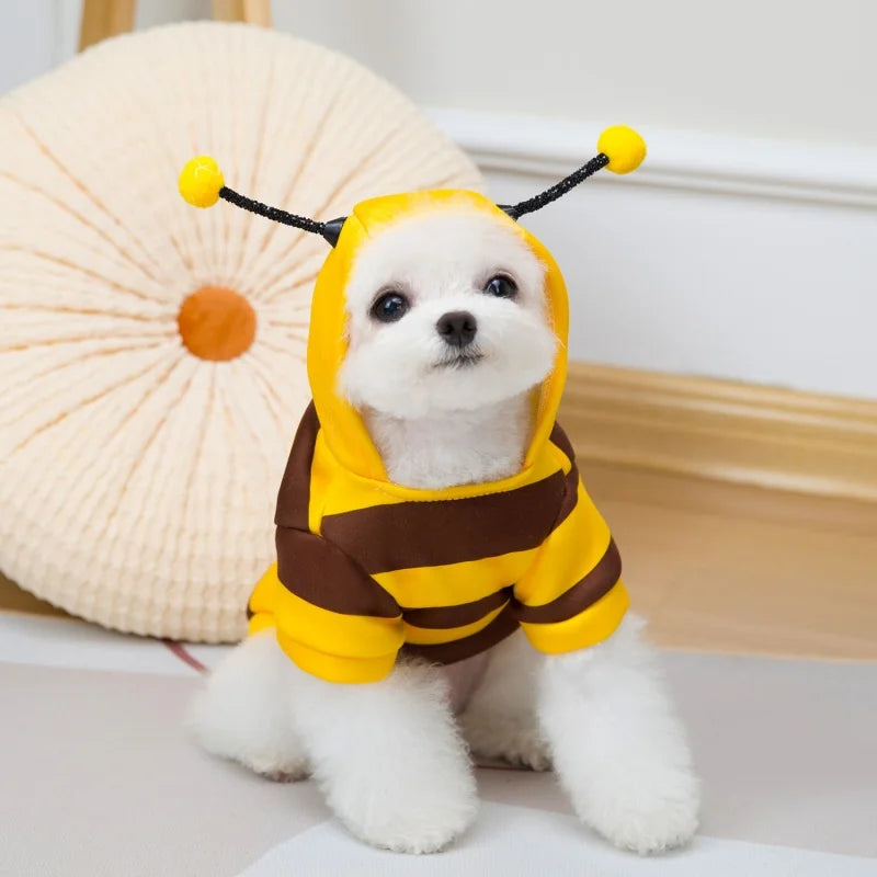 Bumblebee Costume for Cats & Dogs