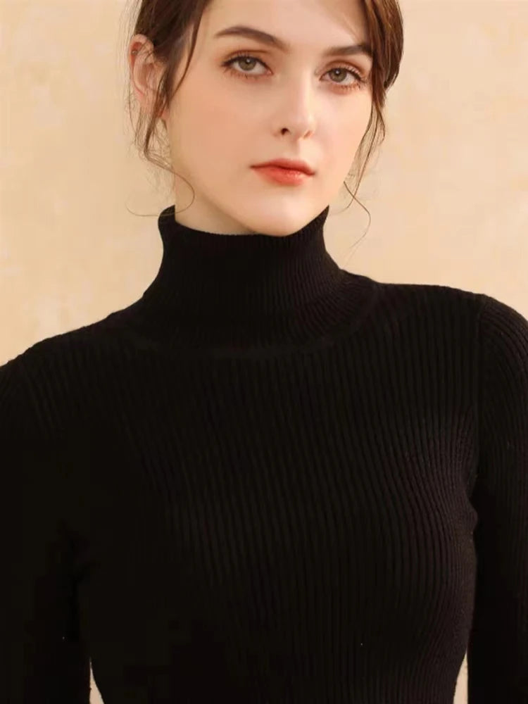 Women’s Cropped Stand-Collar Jacket – Button Front