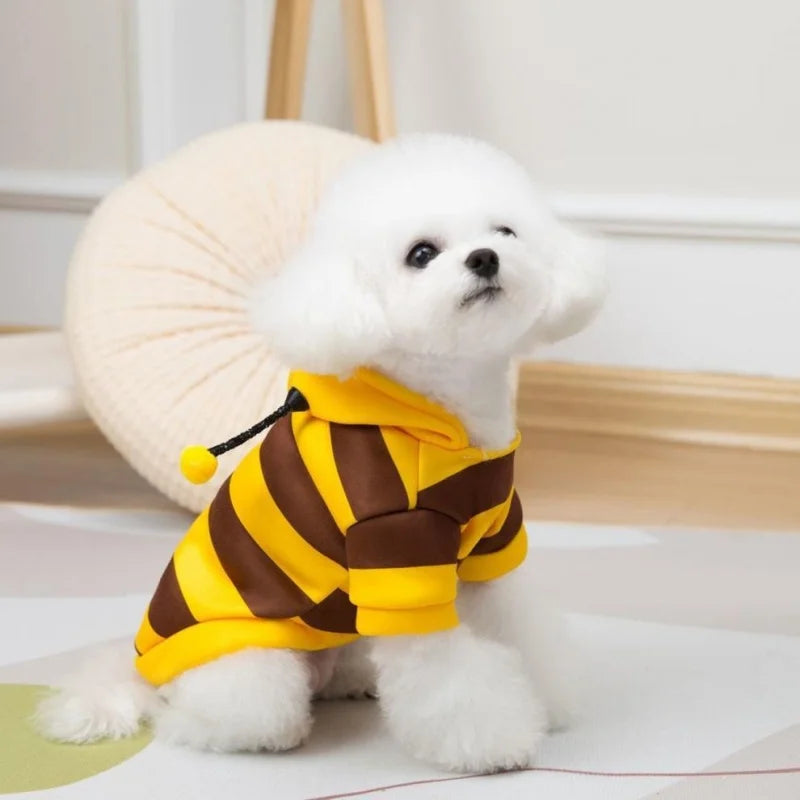 Bumblebee Costume for Cats &amp; Dogs